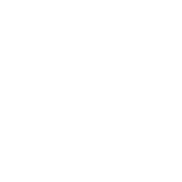 core-values